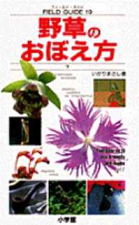 野草のおぼえ方 〈下〉 小学館のフィールド・ガイドシリーズ