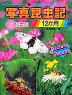 写真昆虫記１２か月 〈上〉 １月～６月 小学館入門百科シリーズ