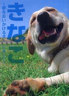 きなこ - 夢をおいかける犬