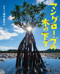 マングローブの木の下で ぴっかぴかえほん