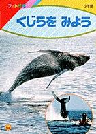 くじらをみよう 紀伊國屋書店ウェブストア オンライン書店 本 雑誌の通販 電子書籍ストア