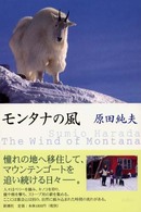 モンタナの風