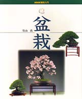 盆栽 ＮＨＫ趣味入門