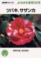 ツバキ、サザンカ ＮＨＫ趣味の園芸－よくわかる栽培１２か月