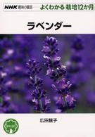 ラベンダー ＮＨＫ趣味の園芸－よくわかる栽培１２か月