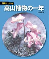 科学のアルバム<br> 高山植物の一年 （新装版）