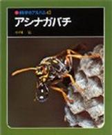 アシナガバチ 科学のアルバム