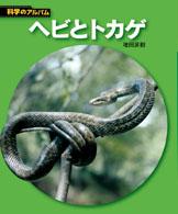 ヘビとトカゲ 科学のアルバム （新装版）