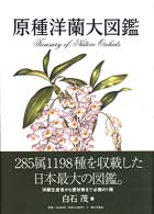 原種洋蘭大図鑑 白石 茂 著 紀伊國屋書店ウェブストア オンライン書店 本 雑誌の通販 電子書籍ストア