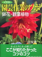 イラスト園芸作業のツボ - 鉢花・観葉植物