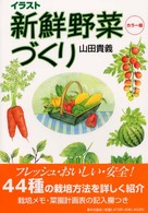イラスト新鮮野菜づくり - カラー版