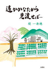 遥かかなたから見渡せば…