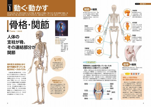 ＴＪ　ＭＯＯＫ<br> 不思議だから面白い人体_3