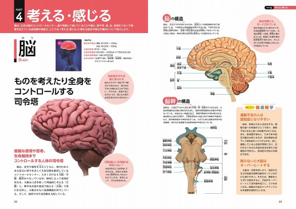ＴＪ　ＭＯＯＫ<br> 不思議だから面白い人体_6