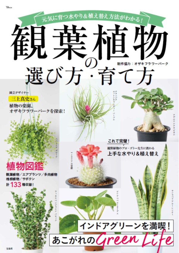 ＴＪ　ＭＯＯＫ<br> 観葉植物の選び方・育て方_1