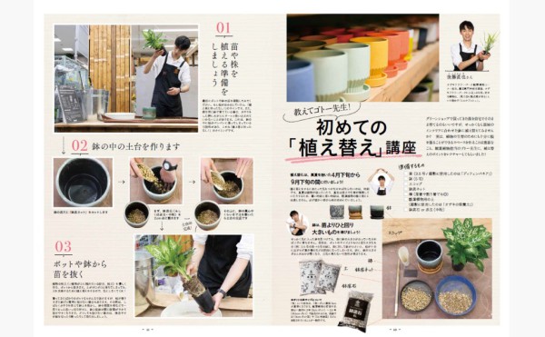 ＴＪ　ＭＯＯＫ<br> 観葉植物の選び方・育て方_3