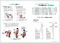 ＴＪ　ＭＯＯＫ　素敵なあの人特別編集<br> 体の不調が整う！_s4