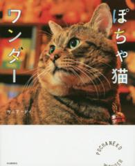 ぽちゃ猫ワンダー