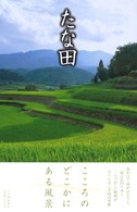 たな田