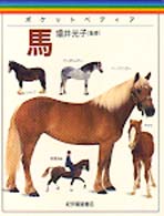 馬 ポケットペディア