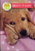 悪徳子犬ブリーダーをさがせ マック動物病院ボランティア日誌