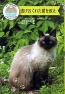 逃げおくれた猫を救え マック動物病院ボランティア日誌