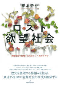 ロスト欲望社会 - 消費社会の倫理と文化はどこへ向かうのか