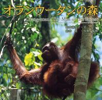 オランウータンの森