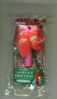 ペットボトル栽培グリ ントイ 四季なりいちご 紀伊國屋書店ウェブストア オンライン書店 本 雑誌の通販 電子書籍ストア