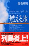 燃える氷 - 長編警告小説