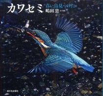 カワセミ - 青い鳥見つけた 日本の野鳥