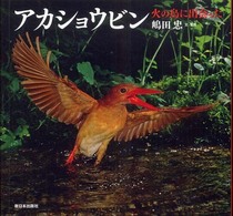 アカショウビン - 火の鳥に出会った 日本の野鳥