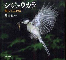シジュウカラ - 庭にくる小鳥 日本の野鳥