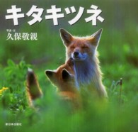 キタキツネ 北国の野生動物