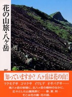 花の山旅・八ケ岳