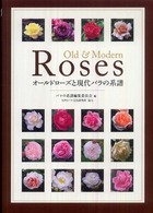 オールドローズと現代バラの系譜