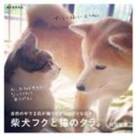 柴犬フクと猫のタラ。 - 自然の中で２匹が織りなすのんびりな日々