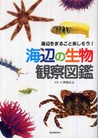 海辺の生物観察図鑑 - 海辺をまるごと楽しもう！