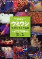 ウミウシ生きている海の妖精 - 特徴がひと目でわかる各種ウミウシの図解付き ネイチャーウォッチングガイドブック