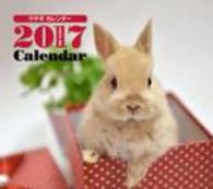 ミニカレンダーウサギ 〈２０１７〉 ［カレンダー］
