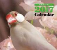 ミニカレンダー文鳥 〈２０１７〉 ［カレンダー］