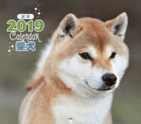 ミニカレンダー柴犬 〈２０１９年〉 ［カレンダー］