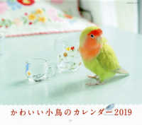 ミニカレンダーかわいい小鳥のカレンダー 〈２０１９年〉 ［カレンダー］
