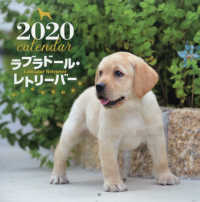 ［カレンダー］<br> 大判カレンダーラブラドール・レトリーバー 〈２０２０年〉