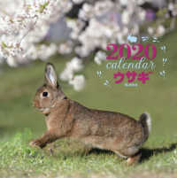 ［カレンダー］<br> 大判カレンダーウサギ 〈２０２０年〉