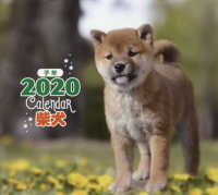 ［カレンダー］<br> ミニ判カレンダー柴犬 〈２０２０年〉