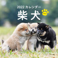 ［カレンダー］<br> 柴犬カレンダー 〈２０２２〉