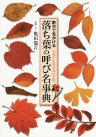 落ち葉の呼び名事典 - 散歩で見かける