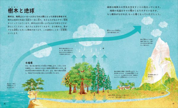 奇妙で不思議な樹木の世界_4