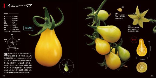 美しいトマトの科学図鑑―東京大学の農場で野菜や果実を育ててみた_5